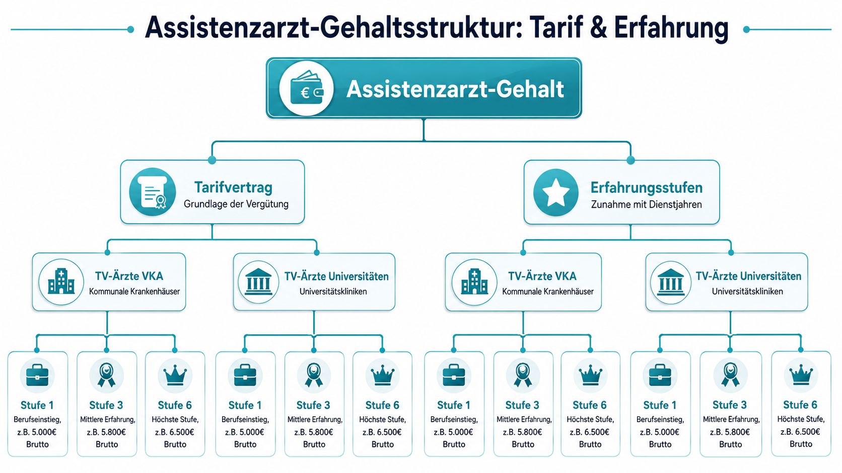 Ein Flussdiagramm zeigt die Gehaltsstruktur für Assistenzärzte basierend auf Tarifverträgen sowie Erfahrungsstufen in verschiedenen Kliniken.
