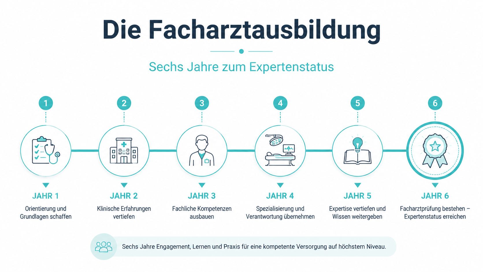 Eine Infografik zur sechsjährigen Facharztausbildung mit Meilensteinen von Jahr eins bis Jahr sechs für angehende Ärzte.