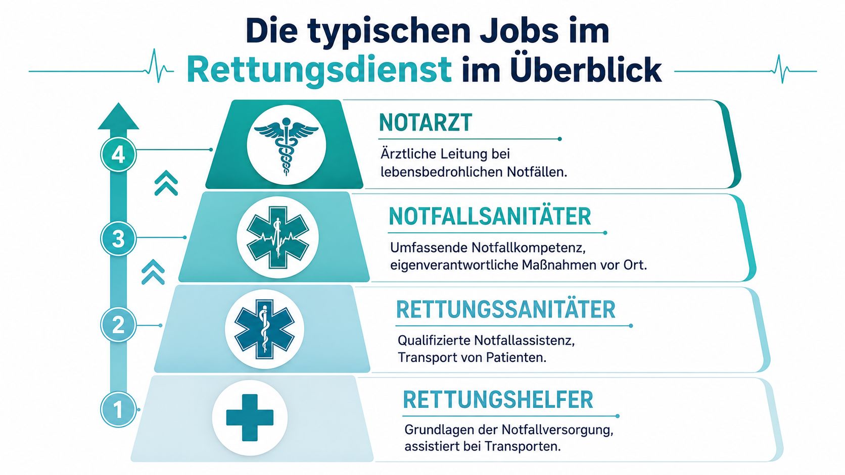 Eine Übersicht der typischen Berufe im Rettungsdienst, von Rettungshelfern bis hin zu Notärzten, grafisch dargestellt in einer Hierarchie.