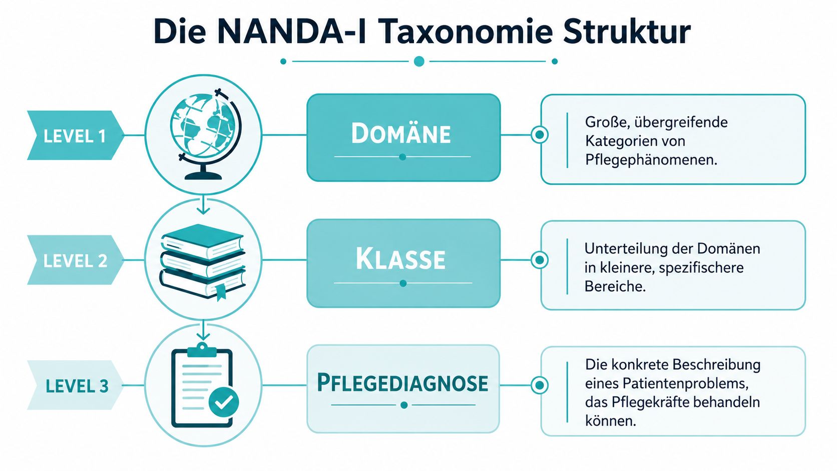 Grafik zur Struktur der NANDA-I Taxonomie mit drei Ebenen: Domäne, Klasse und Pflegediagnose als hierarchisches Modell dargestellt.