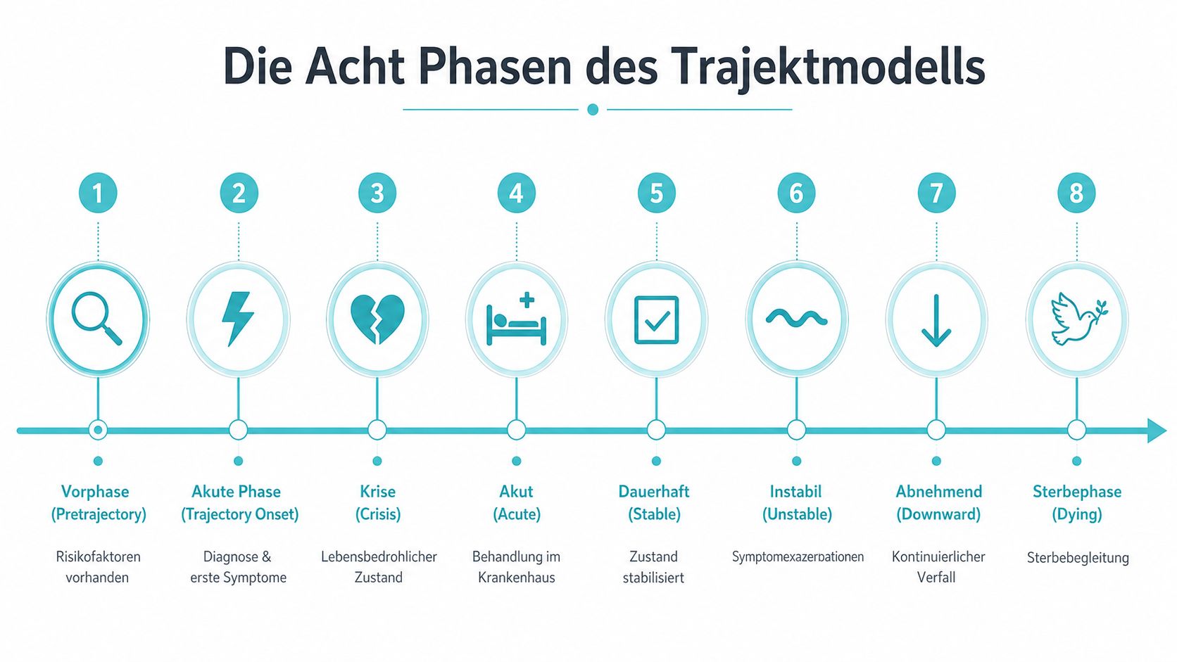Eine Infografik, die die acht Phasen des Trajektmodells nach Corbin und Strauss chronologisch darstellt.
