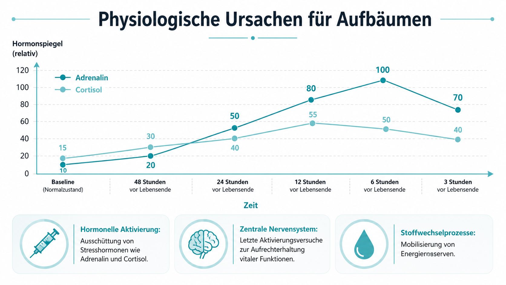 Liniendiagramm zeigt den relativen Anstieg von Adrenalin und Cortisol bei Patienten in der Finalphase vor dem Lebensende.