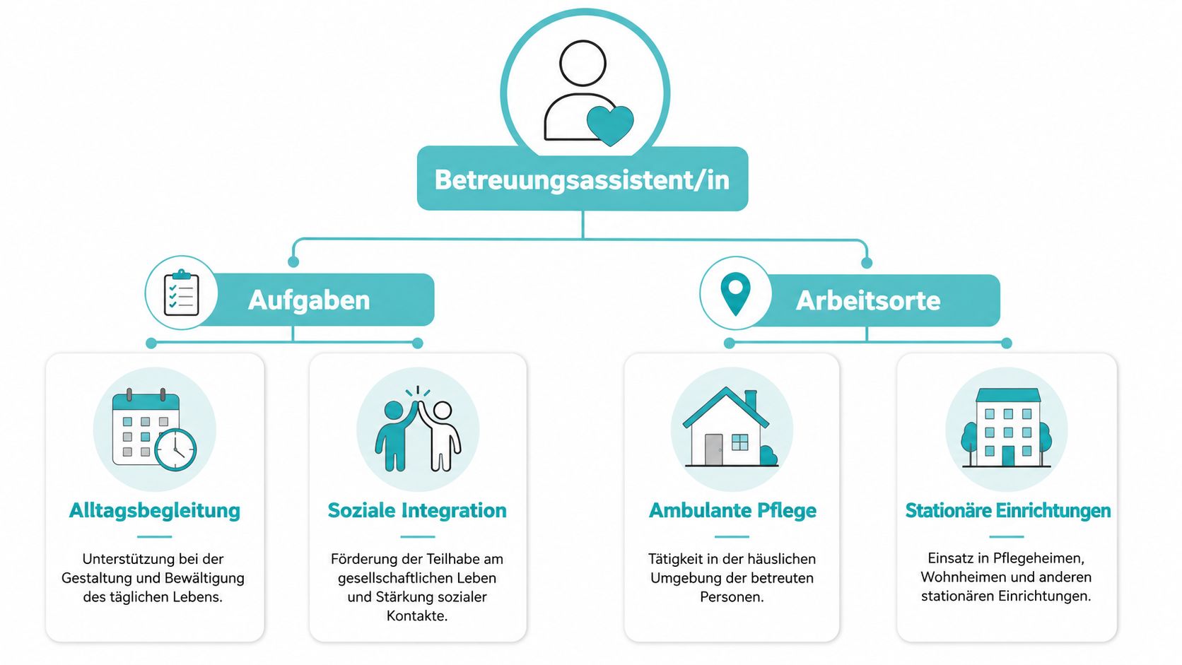 Übersichtsgrafik über das Berufsbild, die Aufgaben und die Arbeitsorte eines Betreuungsassistenten in der Pflege.