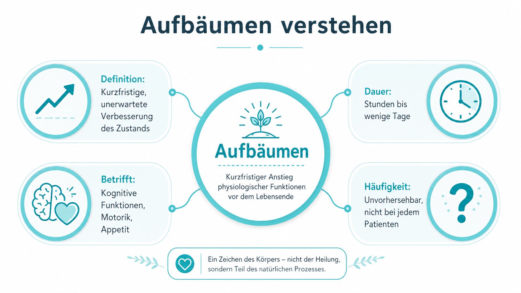 Eine Infografik erklärt das medizinische Phänomen des Aufbäumens in der Sterbephase mit seinen Merkmalen und Auswirkungen.