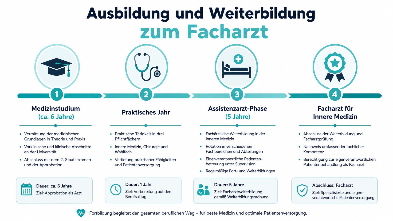 Eine Infografik, die die vier Phasen der Ausbildung und Weiterbildung zum Facharzt für Innere Medizin darstellt.
