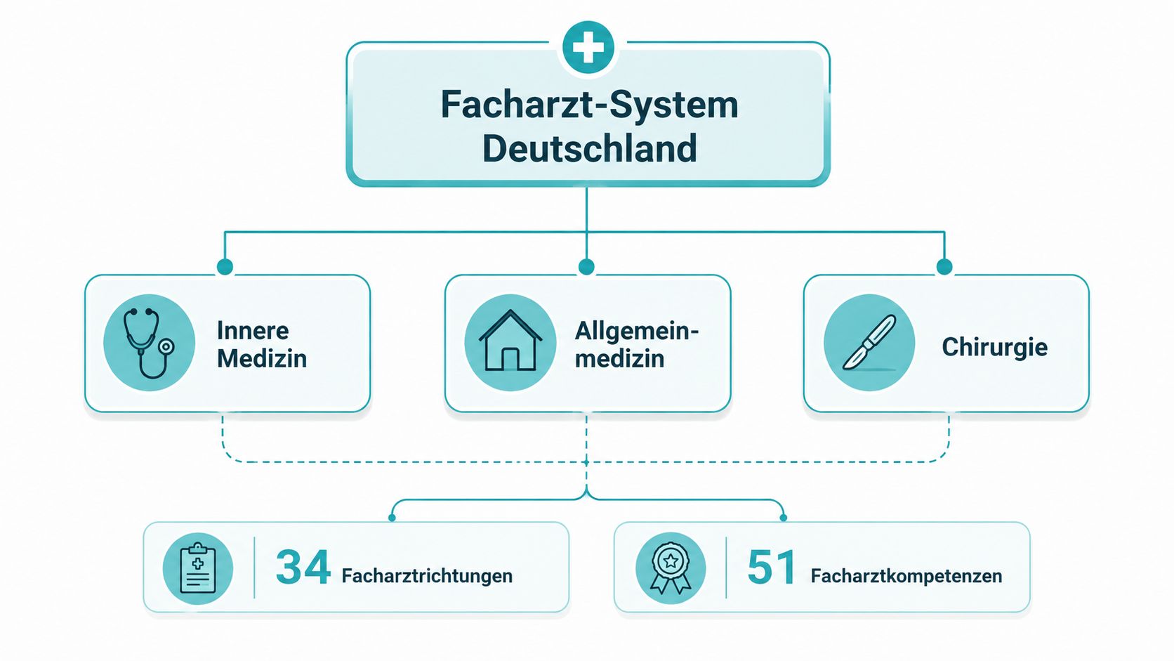 Übersichtsgrafik des deutschen Facharztsystems mit Innere Medizin, Allgemeinmedizin, Chirurgie sowie 34 Facharztrichtungen und 51 Facharztkompetenzen.