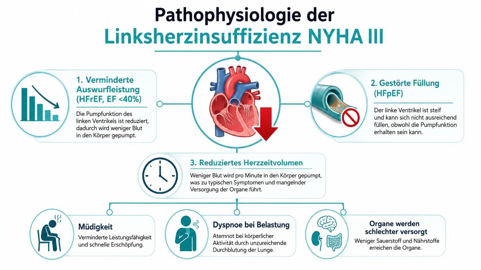 Infografik zur Pathophysiologie der Linksherzinsuffizienz NYHA III mit Erklärungen zu Pumpfunktion, Füllung und typischen Symptomen bei Belastung.