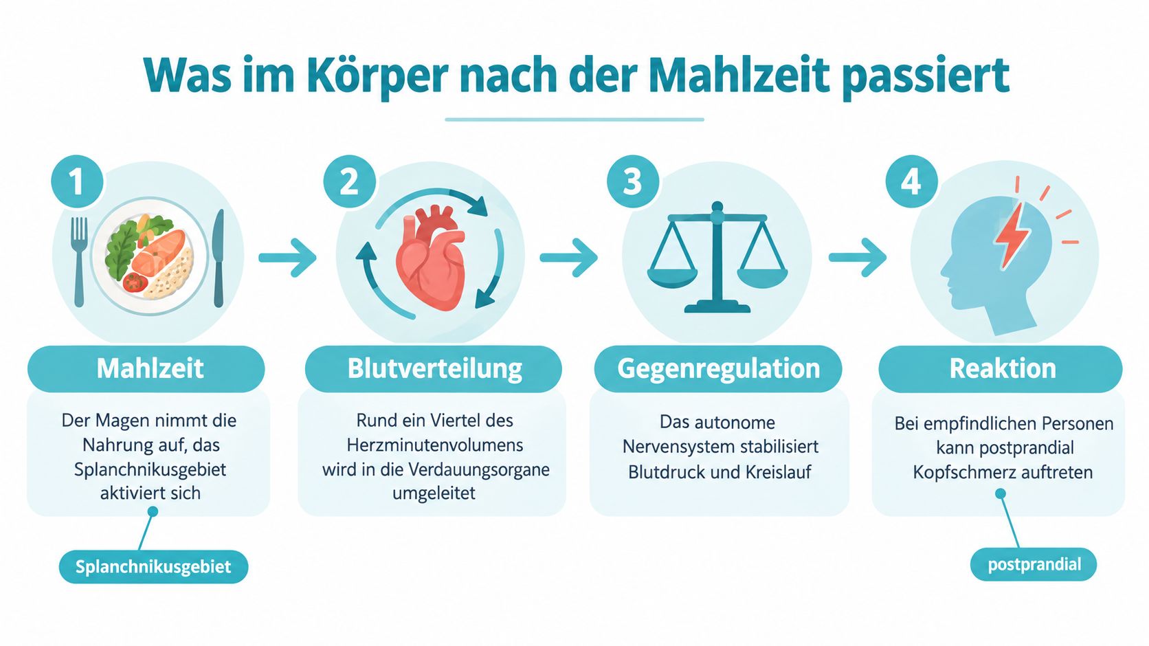 Eine Infografik zeigt den biologischen Prozess im Körper, der bei manchen Menschen nach dem Essen Kopfschmerzen auslösen kann.