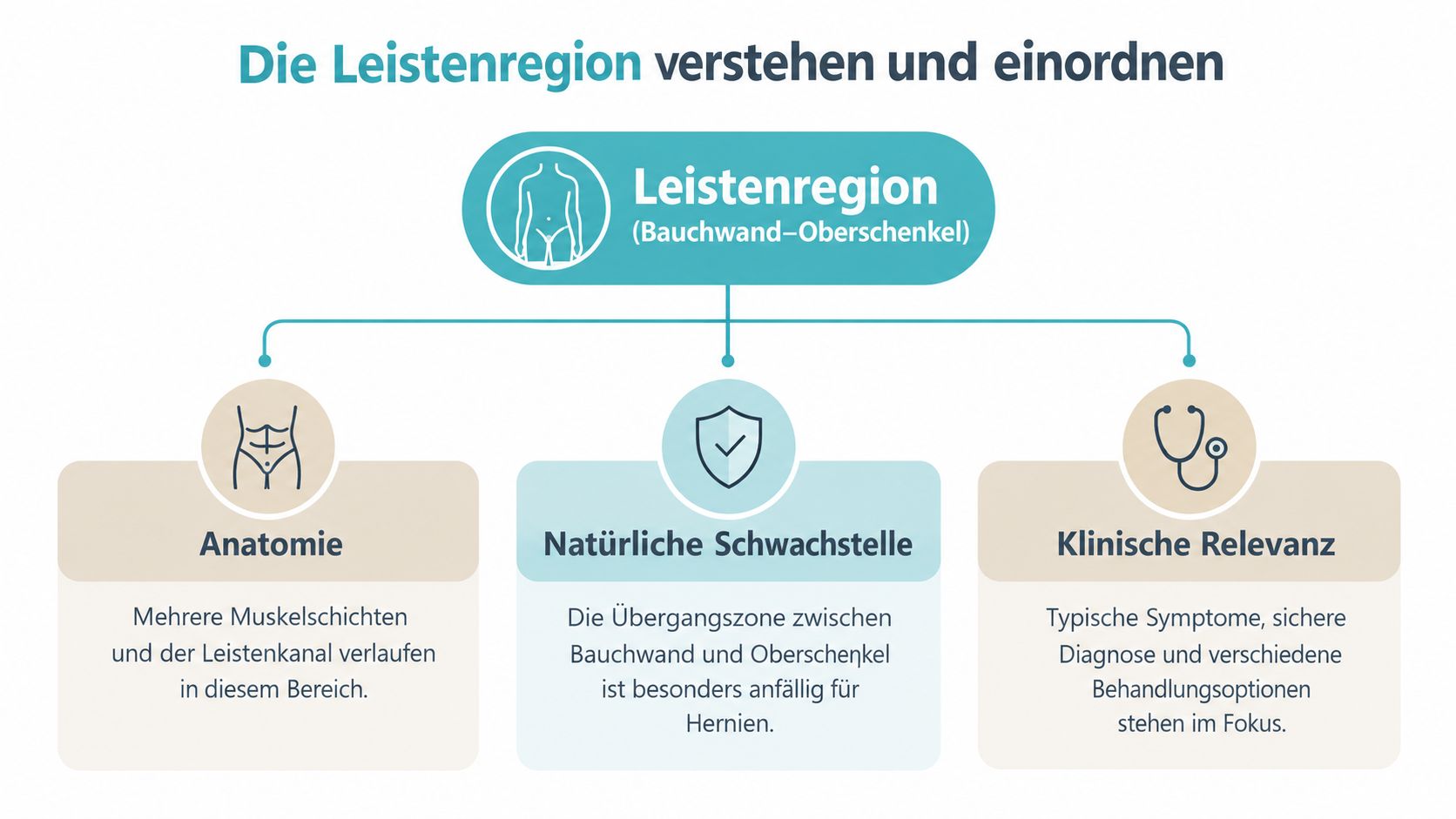 Übersichtsgrafik zur Leistenregion, die Anatomie, Schwachstellen und klinische Relevanz wie Hernien verständlich erklärt.
